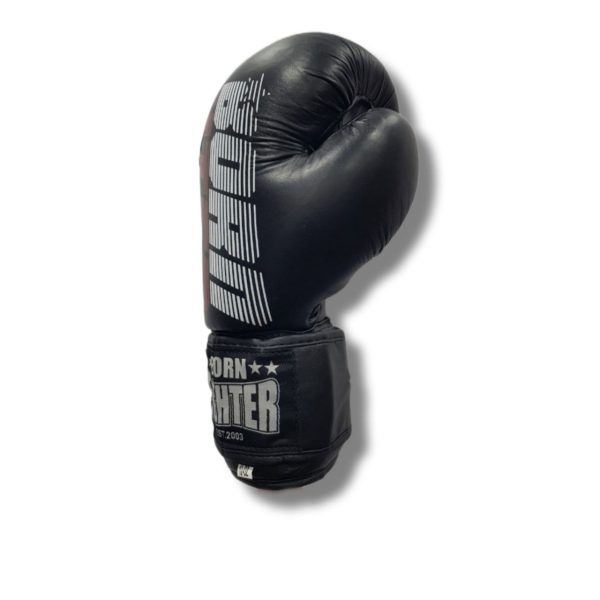 دستکش چرم پاکستانی BORN FIGHTER