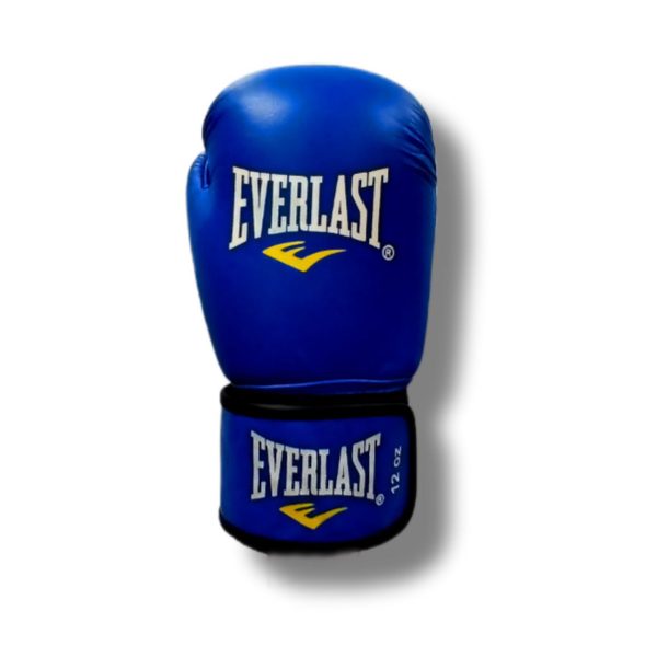 دستکش چرم درجه یک EVERLAST